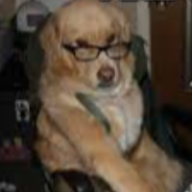 Photo du profil de l'utilisateur